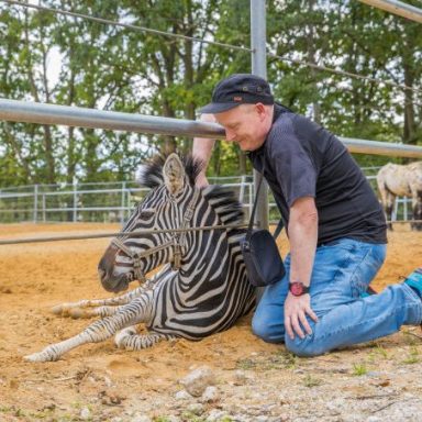 safari erlebnis deutschland